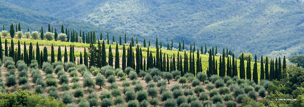 _MG_6687 Chianti 617.JPG